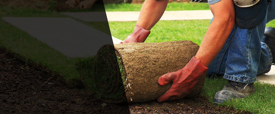 Aliquippa Landscapers